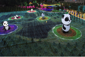 蘭州野生動(dòng)物園熊貓光影之夜盛夏開啟306.png